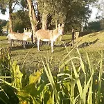 公寓 La Parenthese La Ou Le Temps S'arrete. *