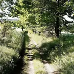 La Parenthese La Ou Le Temps S'arrete. 公寓 Gouvy