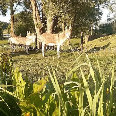 Apartment La Parenthese La Ou Le Temps S'arrete. *