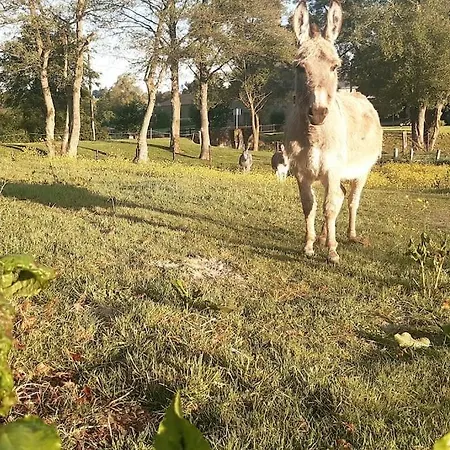 La Parenthese La Ou Le Temps S'arrete. * Gouvy