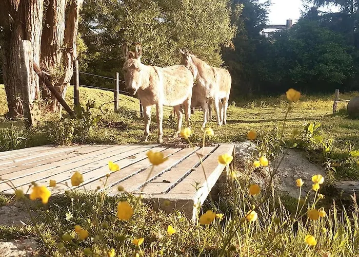 Appartement La Parenthese La Ou Le Temps S'arrete.