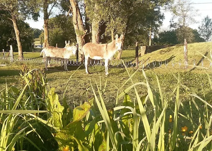 Appartement La Parenthese La Ou Le Temps S'arrete. *