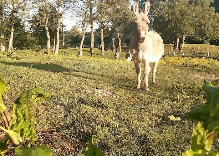 La Parenthese La Ou Le Temps S'arrete. * Gouvy